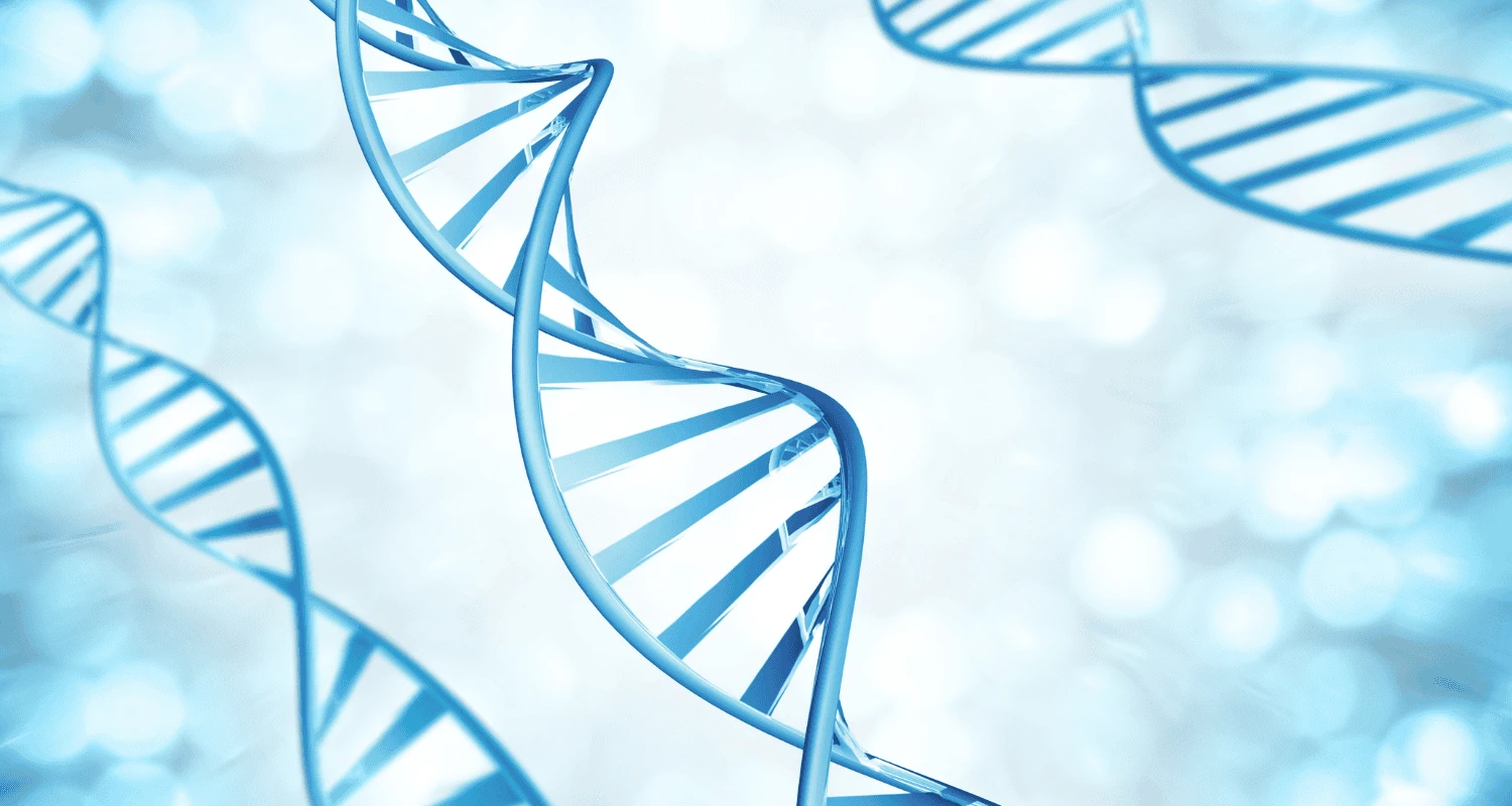 Převod z pojištěnce na muže - geny213